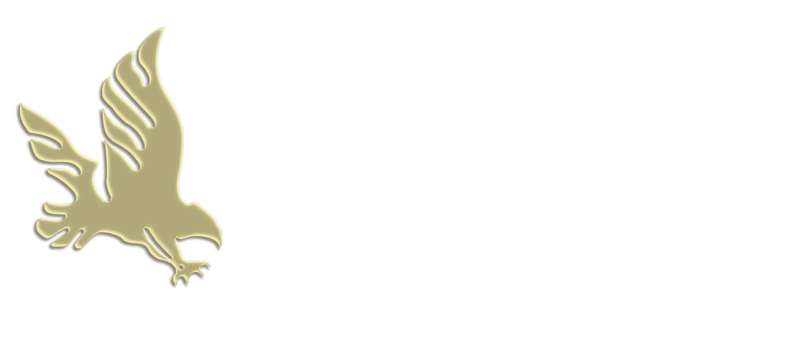 Goldhawk International